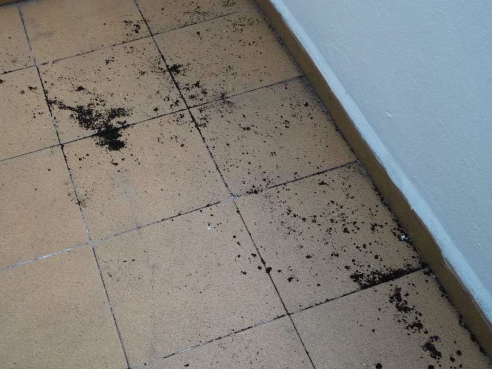 Balkonboden voller schwarzer Ruß Som Suret Hotel