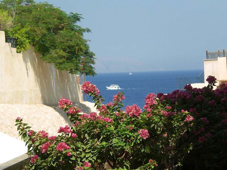 Ausblick The Grand Hotel Sharm El Sheikh