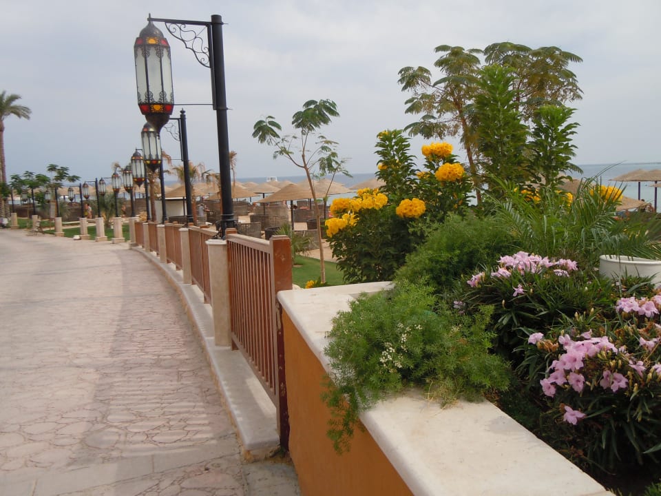 Strandpromenade Makadi Spa - Adults only