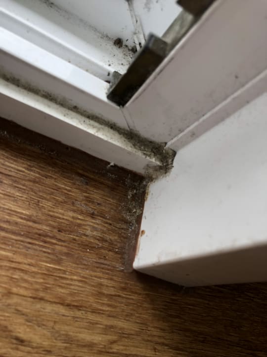 Zimmer Ferienwohnungen Ferienpark Weissenhäuser Strand