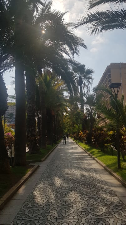 Gartenanlage TRH Taoro Garden
