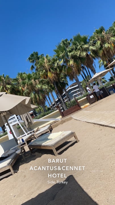 Strand Acanthus Cennet Barut Collection