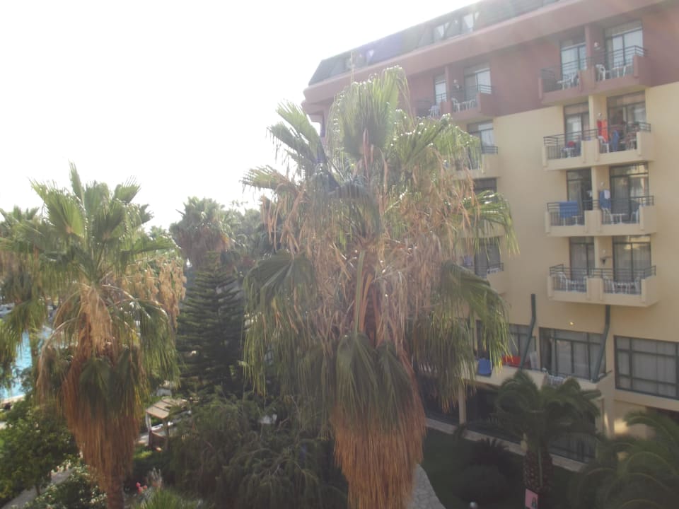 Ausblick aus Zimmer 374 Hotel Meryan