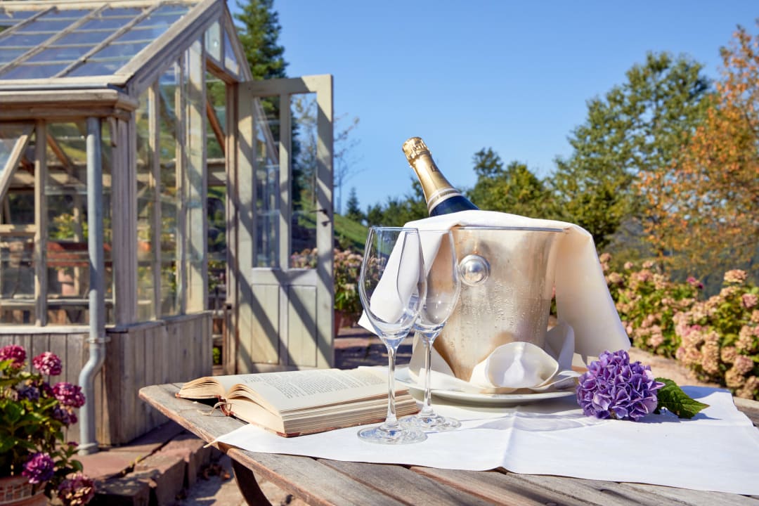 Gastro Schwarzwald Resort Dollenberg