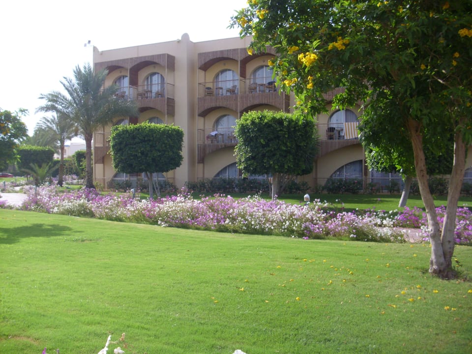 Gartenanlage Desert Rose
