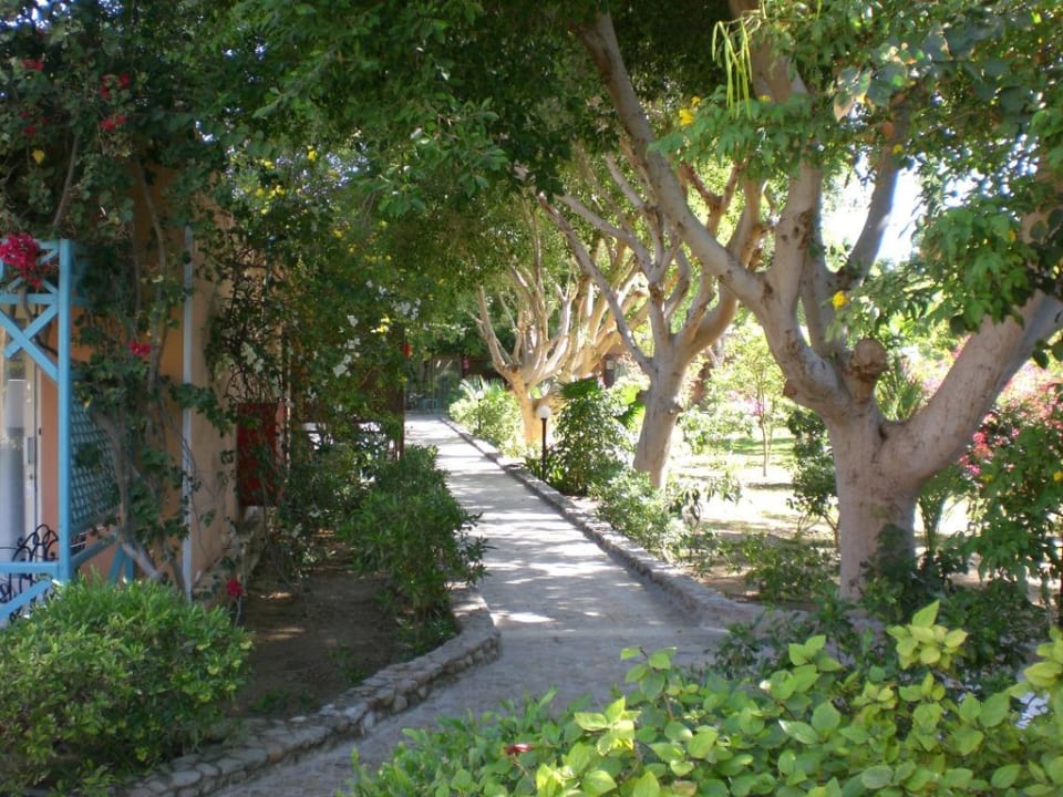 Gartenanlage Giftun Azur Resort