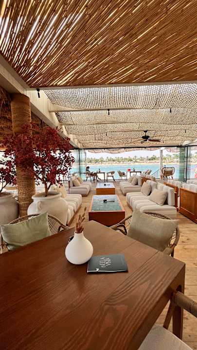 Sonstiges Desert Rose