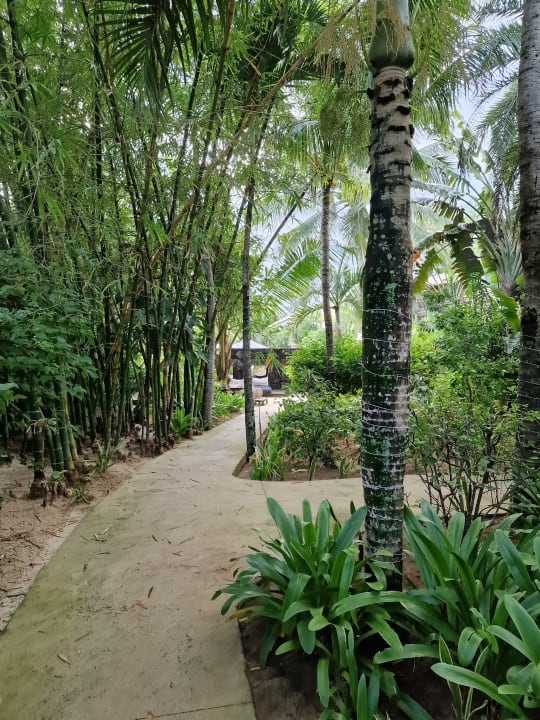 Gartenanlage Friday Attitude