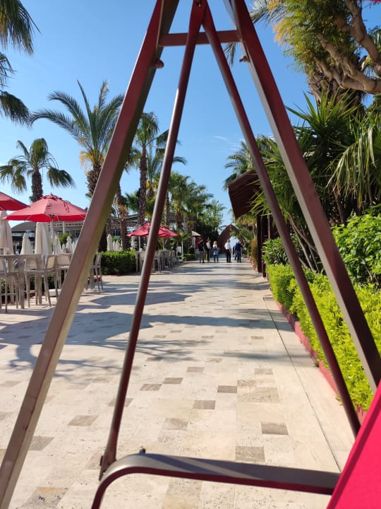 Gartenanlage Hotel Delphin Imperial