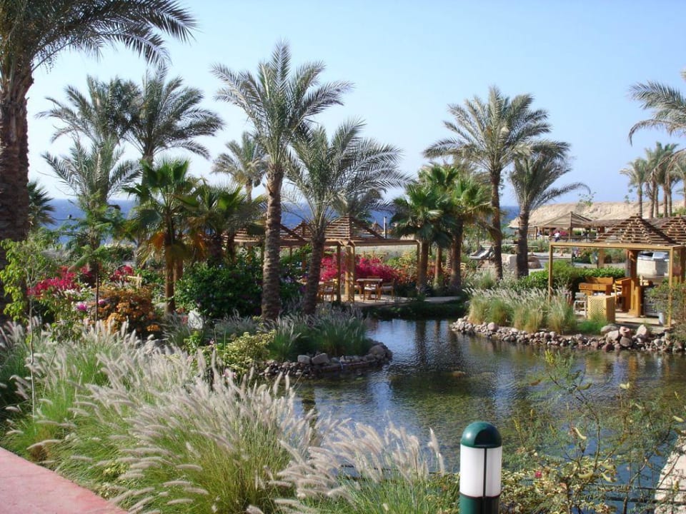 Garten Savoy Sharm El Sheikh