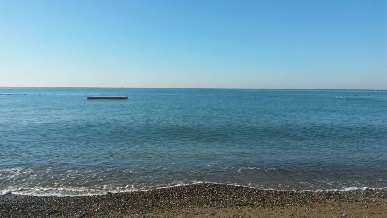 Tolle Stimmung Papillon Ayscha