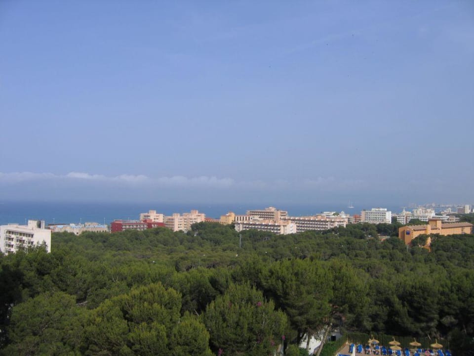 Blick aus dem 7.Stock Grupotel Orient