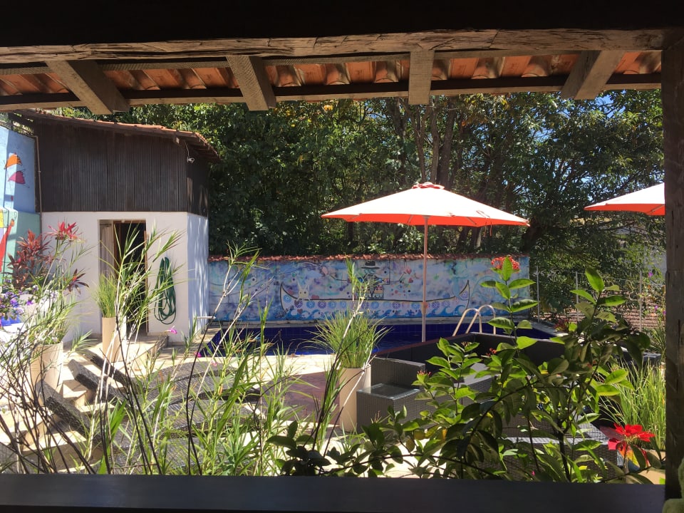 Pool Casa Cool Beans B&B Santa Teresa