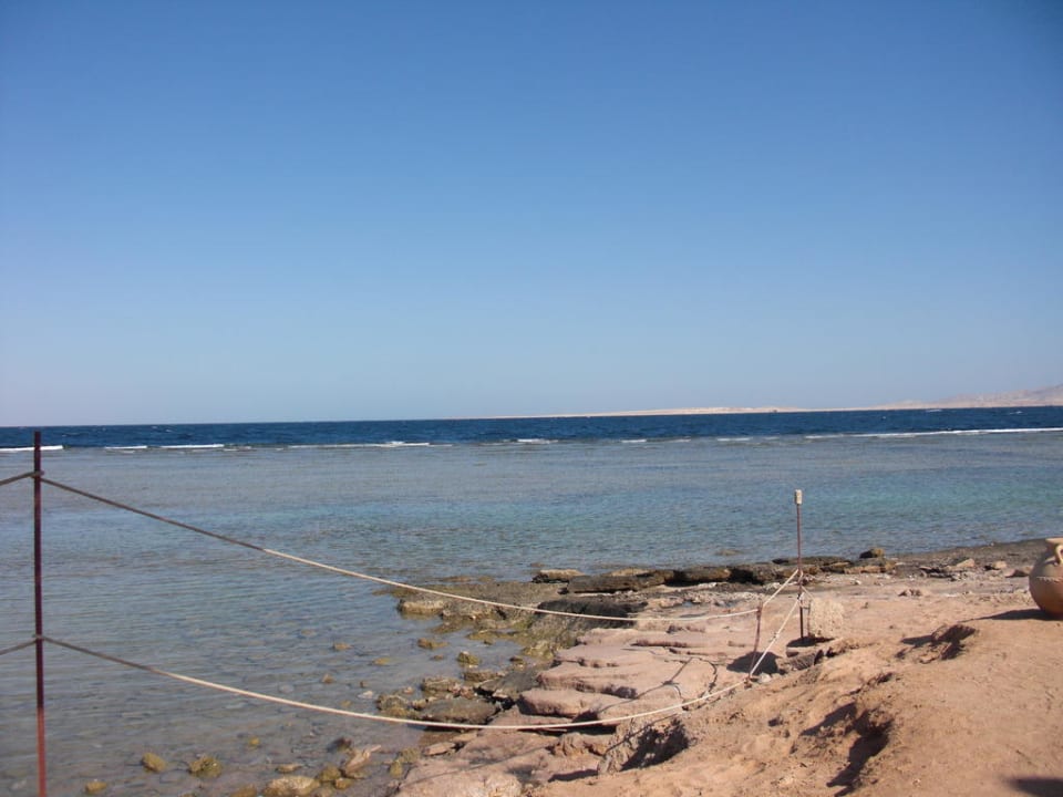 Das zestörte Riff Parrotel Beach Resort