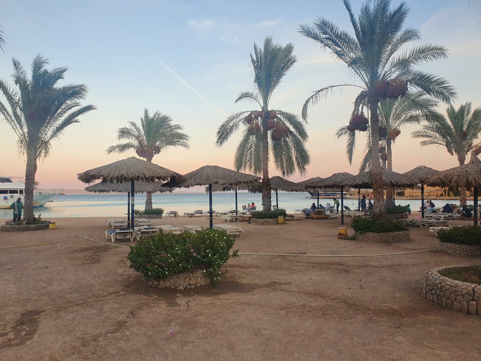 Strand Regina Resort and Aqua Park Hurghada