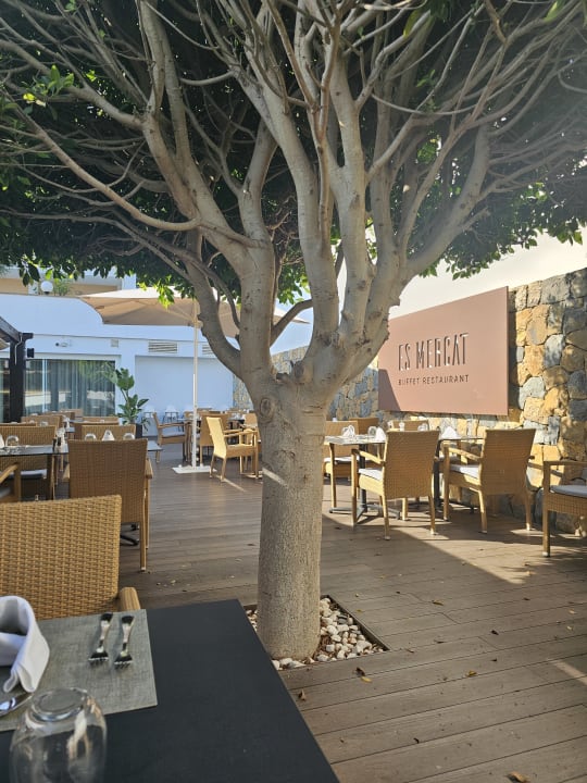 Gastro Universal Hotel Lido Park & Spa