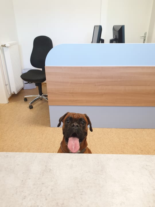 Lobby Gästehaus Haßloch