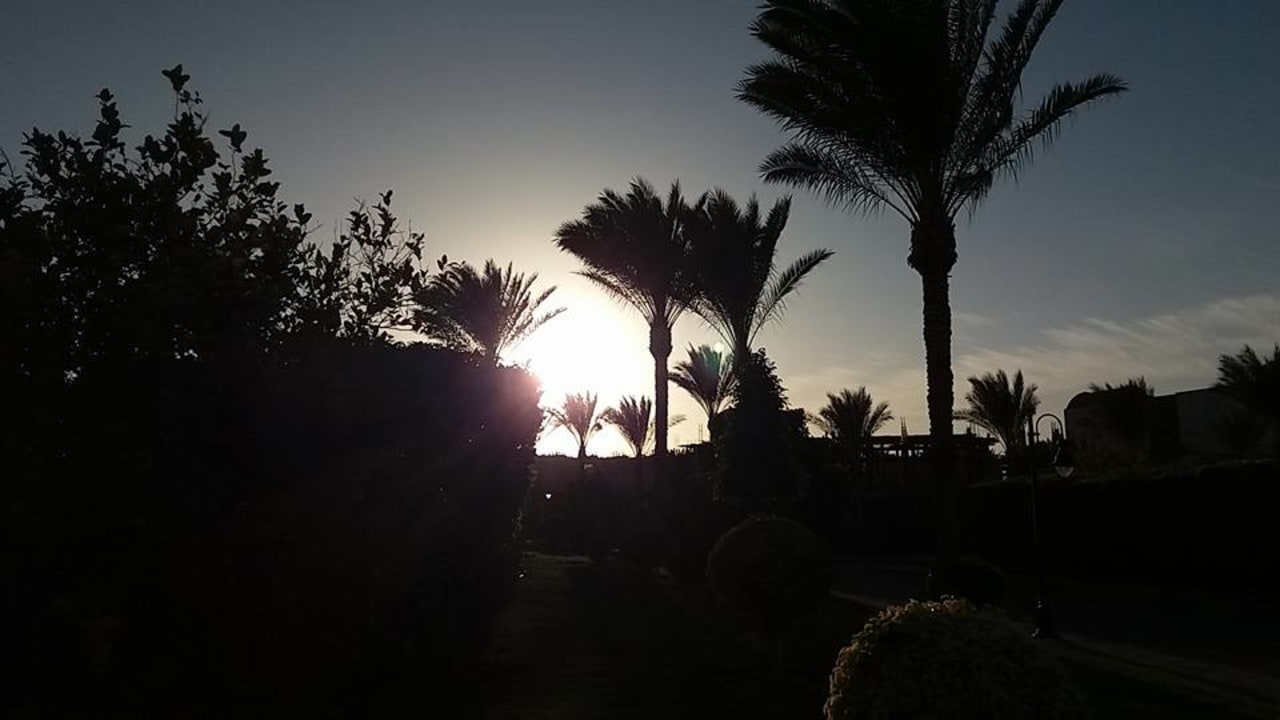 Gartenanlage Jaz Dar EL Madina