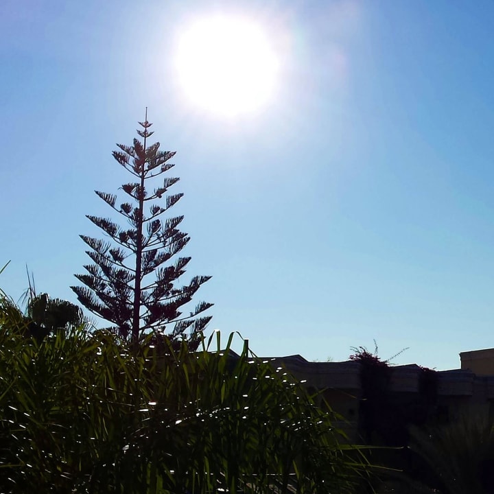 Impressionen Hotel Yetkin