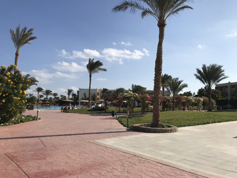 Ausblick Desert Rose