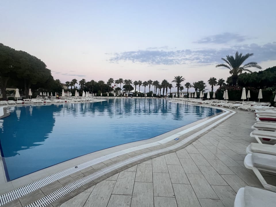 Pool Green Max Hotel