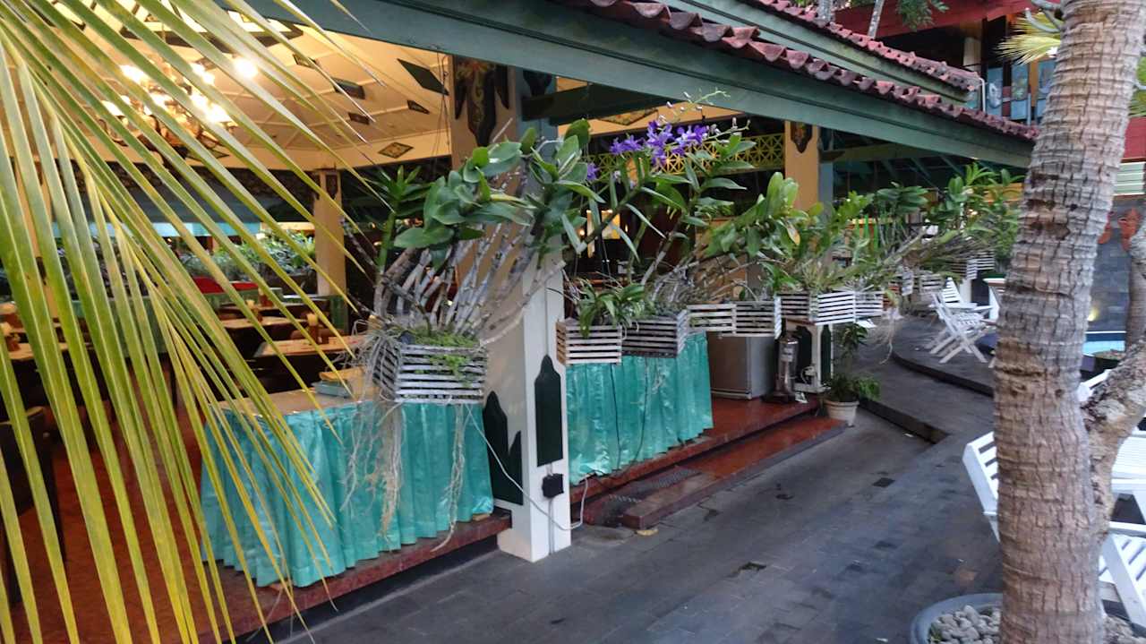 Gartenanlage Hotel Peti Mas