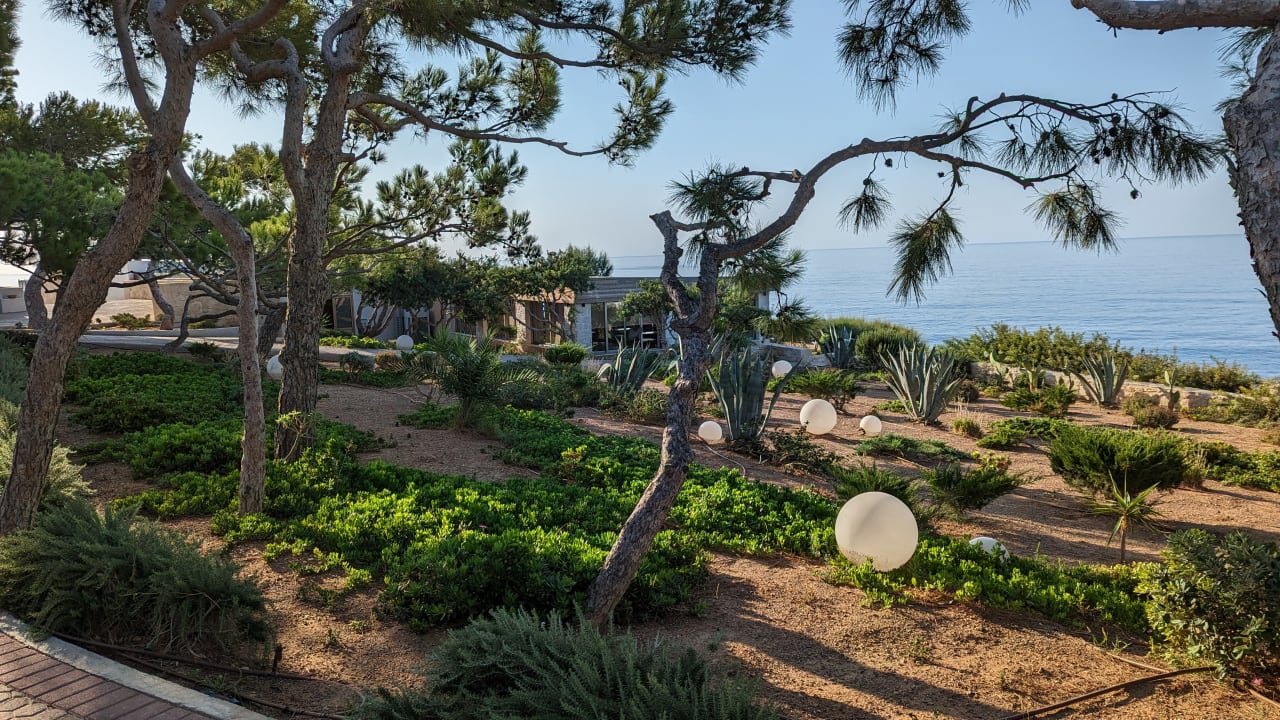 Gartenanlage Kakkos Beach Hotel