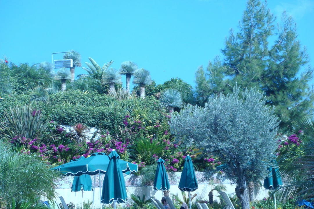 Gartenanlage oberhalb des Aktivpools Atlantica Mikri Poli Rhodes