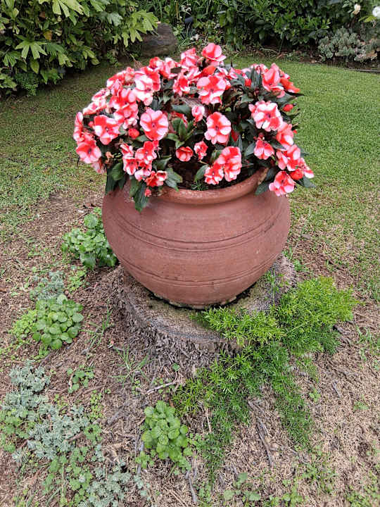 Gartenanlage The Residence Porto Mare - PortoBay