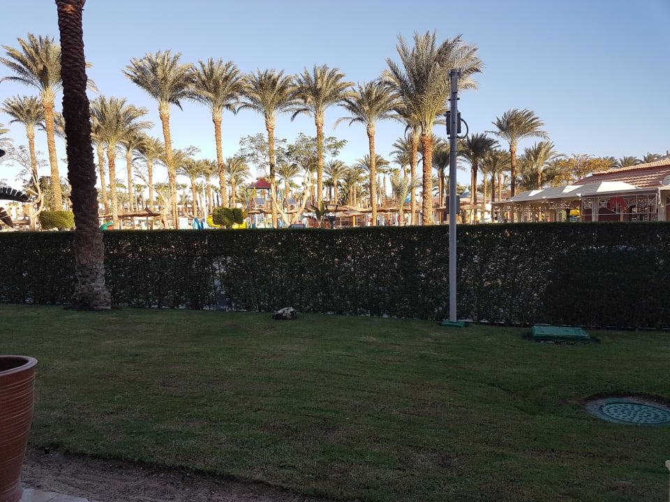 Ausblick auf Straße Pickalbatros Palace Resort
