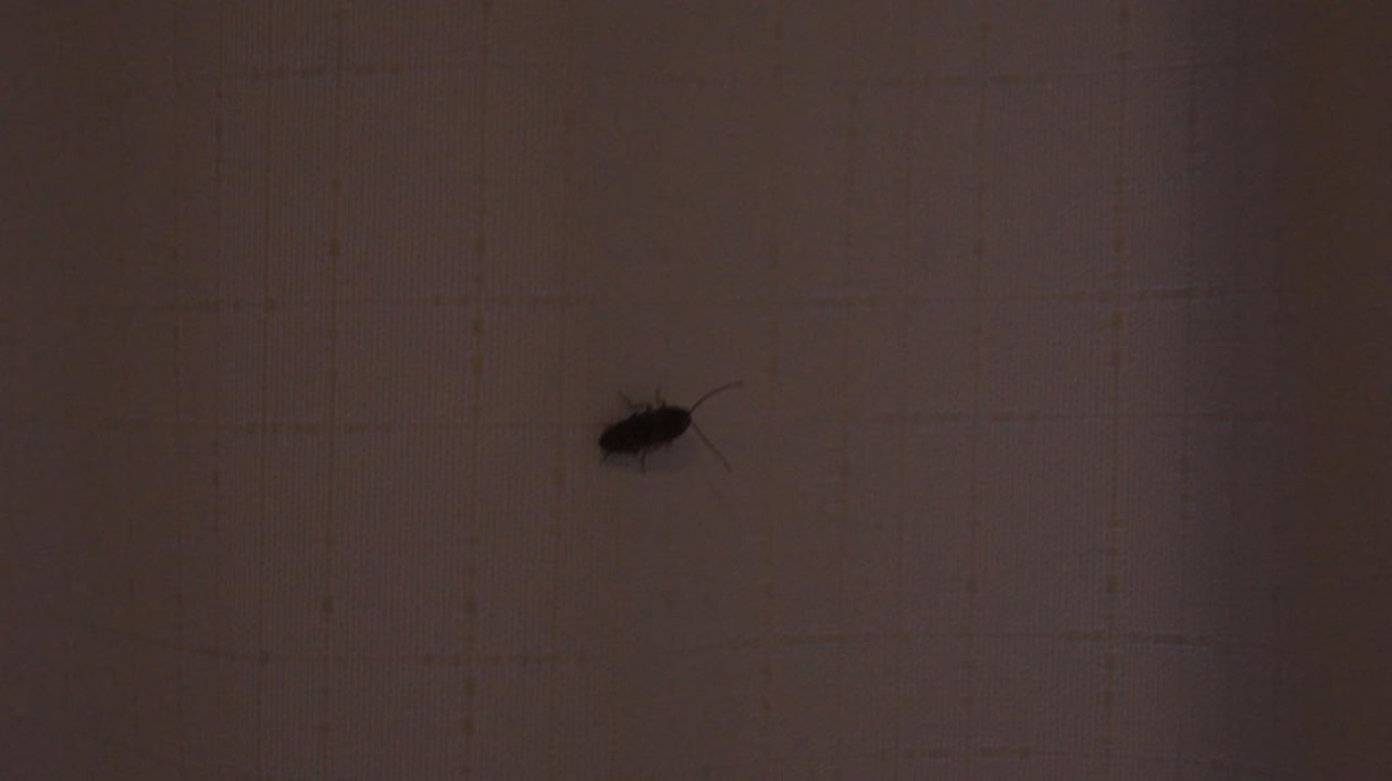 Nasz mały gość w pokoju;p Hotel Portofino