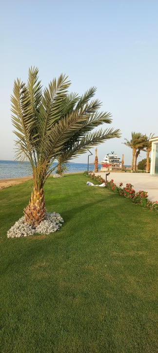 Strand Gravity Hotel & Aqua Park Hurghada