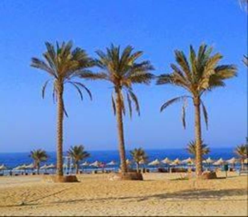 Widok z basenu na plażę Three Corners Sea Beach Resort