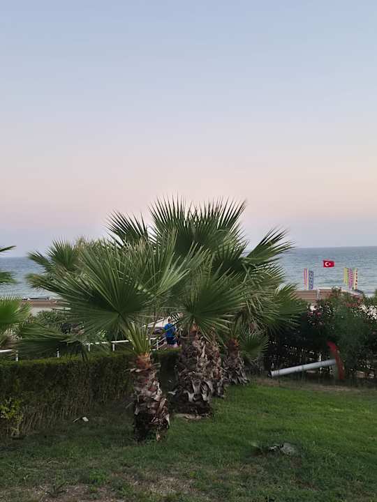 Außenansicht Alba Queen Hotel