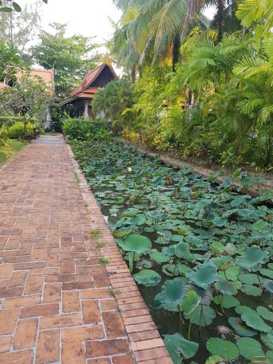 Außenansicht Khaolak Bhandari Resort & Spa