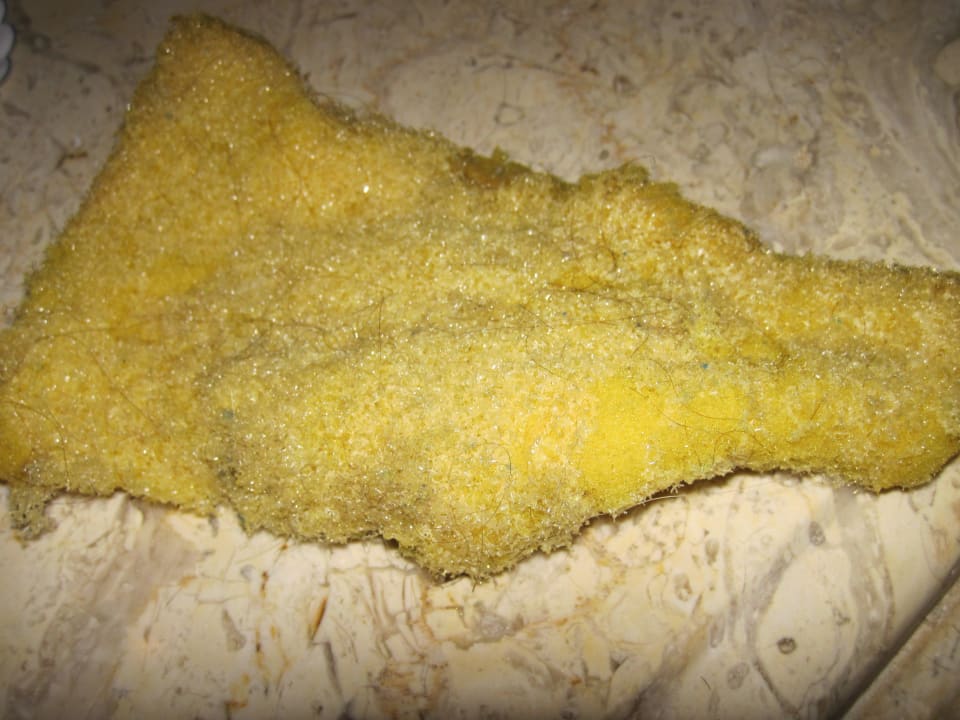 Das war der "Lappen" der Putzfrau! Charmillion Sea Life Resort