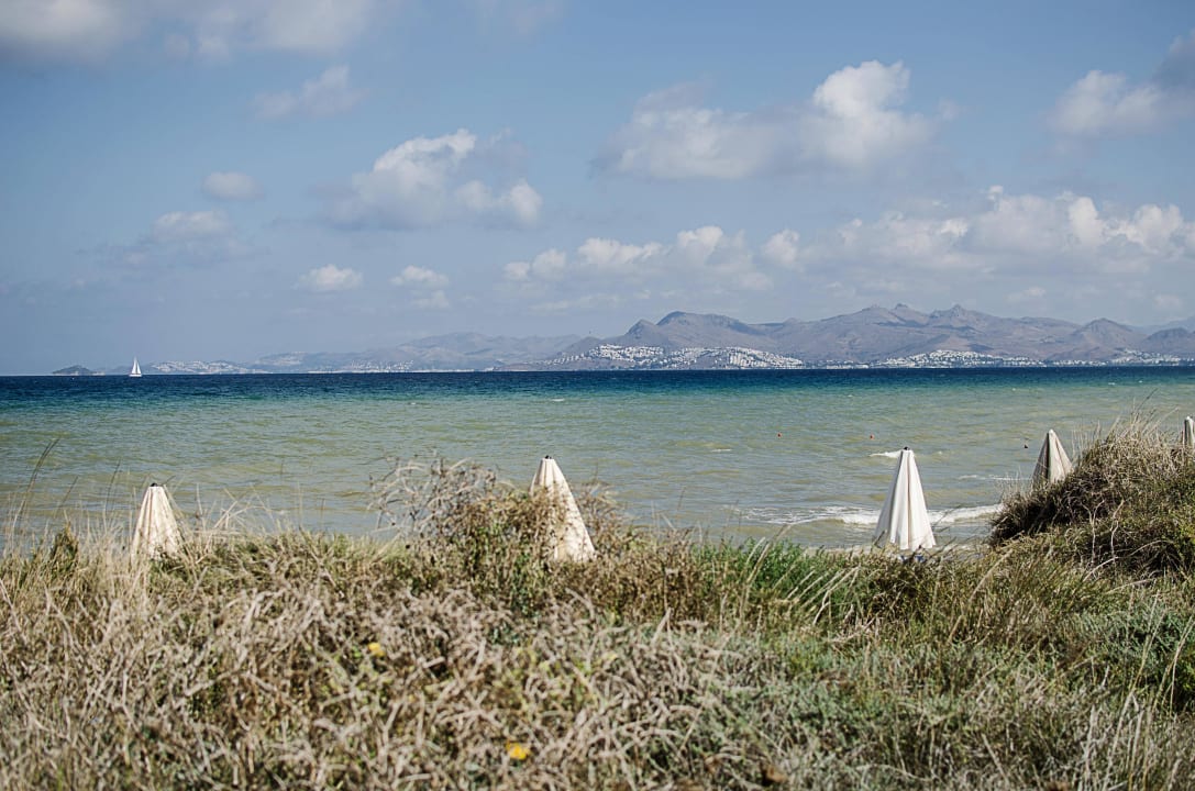 Ausblick Astir Odysseus Kos Resort & Spa