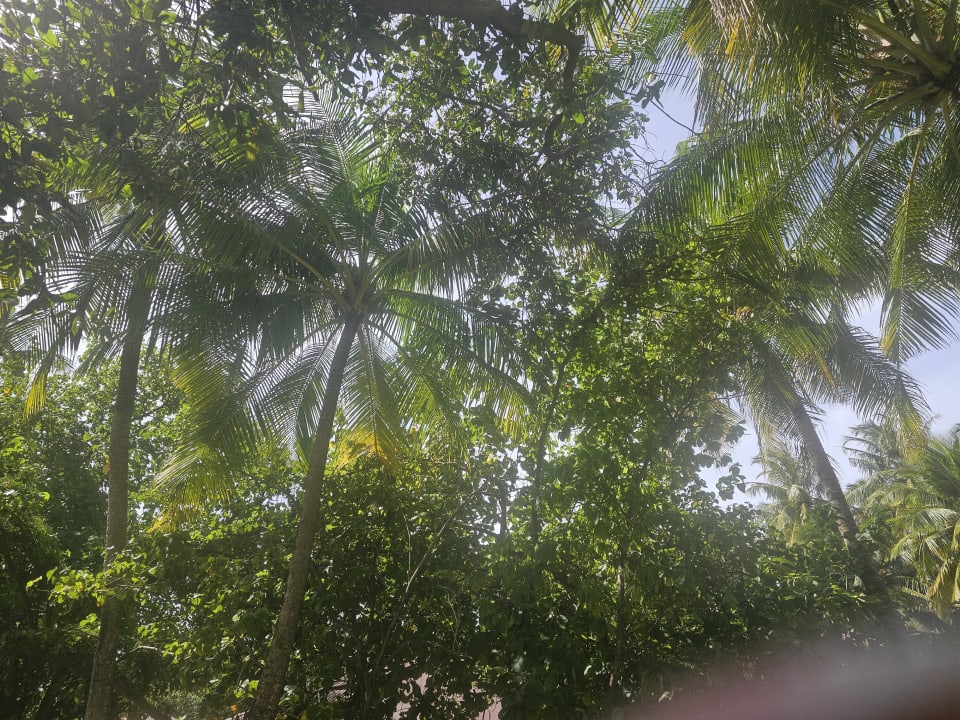 Außenansicht Filitheyo Island Resort