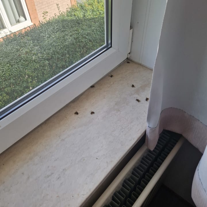 Zimmer Roompot Noordzee Residence De Banjaard