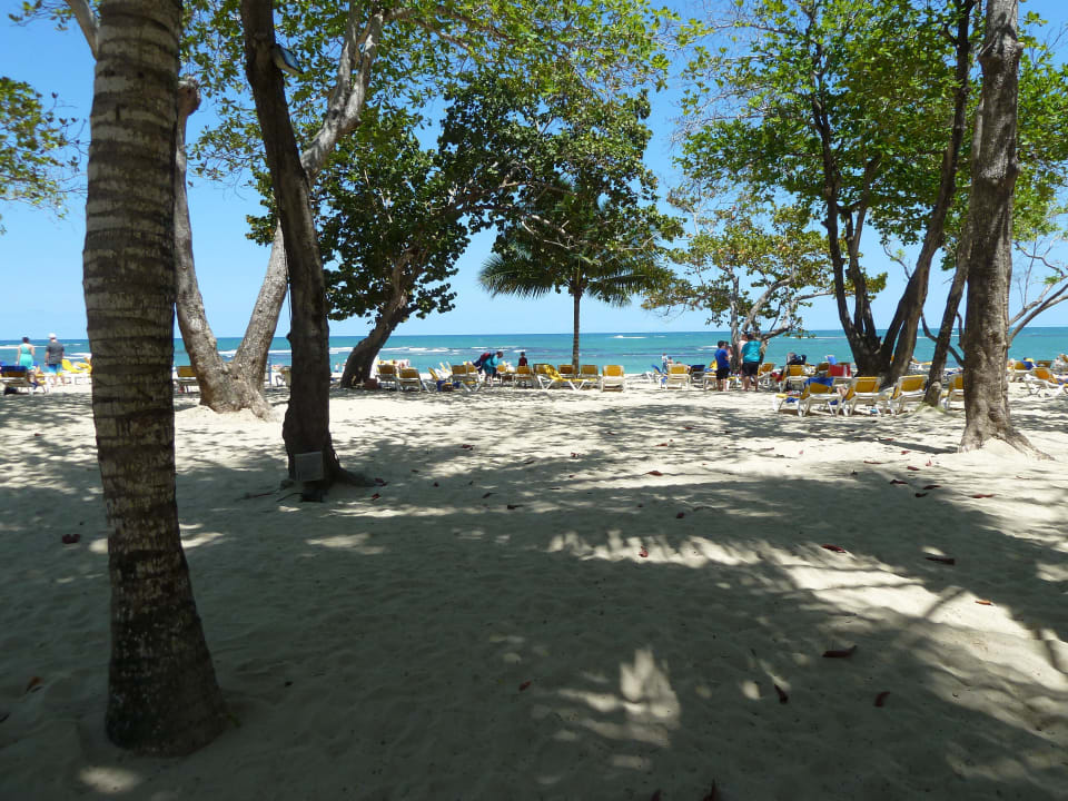 Strand Iberostar Waves Costa Dorada