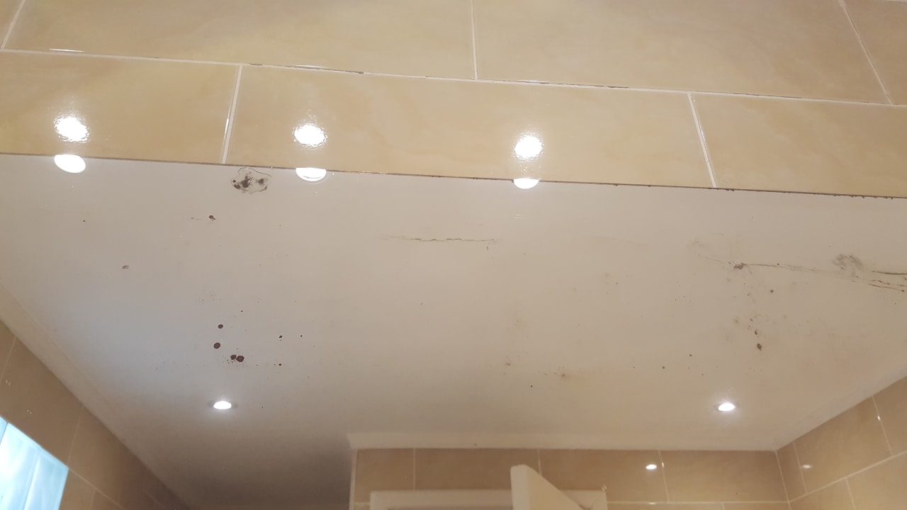 Zimmer Giftun Azur Resort