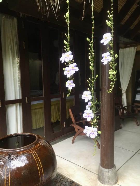 Sport & Freizeit Buri Rasa Village Samui Adults Only Resort