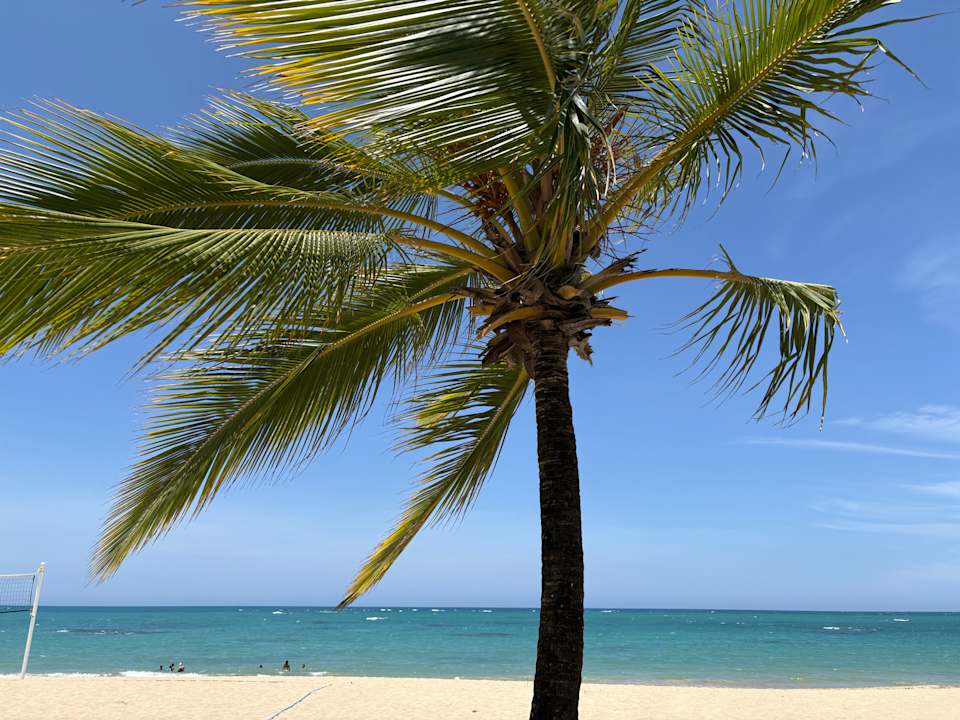 Ausblick Viva Heavens by Wyndham - All Inclusive Resort