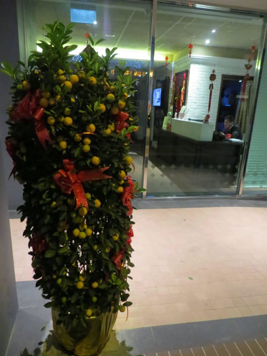 Blck in die Lobby Hotel Bencoolen @ Hong Kong Street