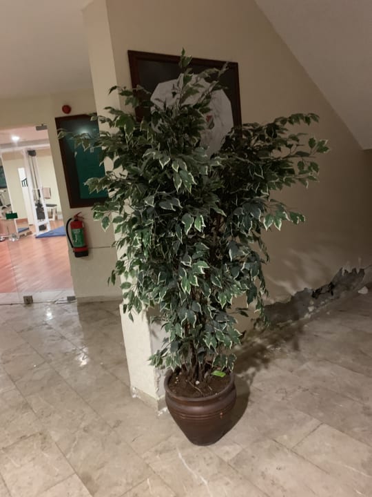 Sonstiges Limak Limra Hotel & Resort