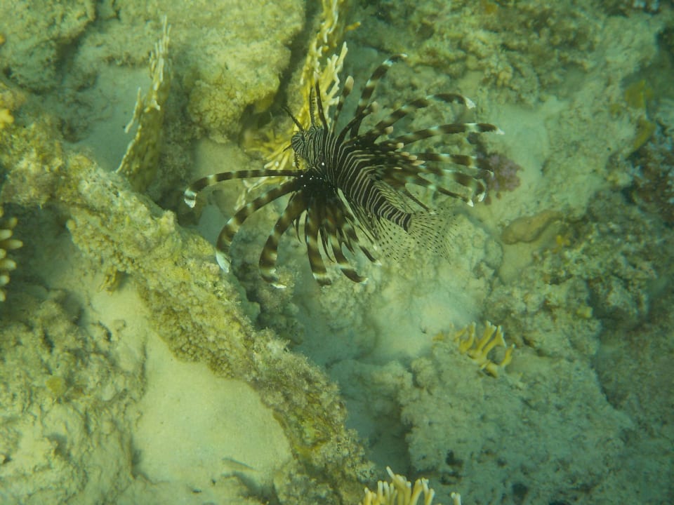Strand SUNRISE Cardina Resort