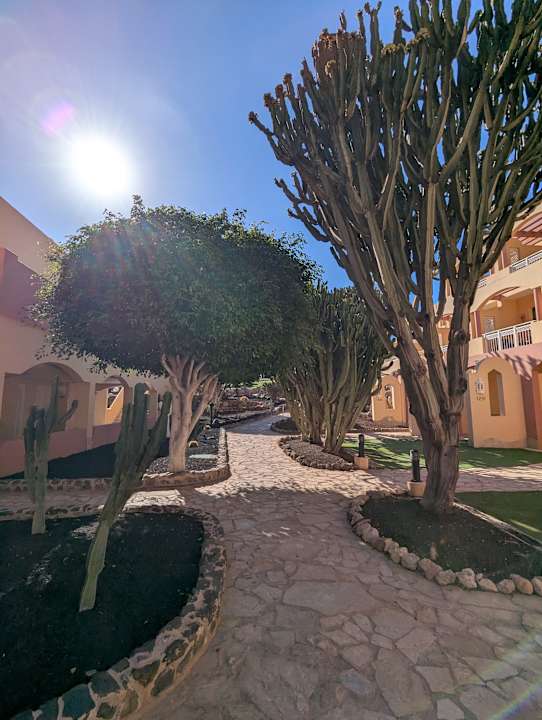 Gartenanlage H10 Playa Esmeralda - Adults only