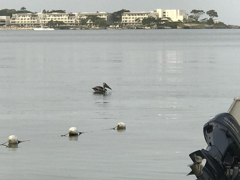Strand Hotel Riu Negril