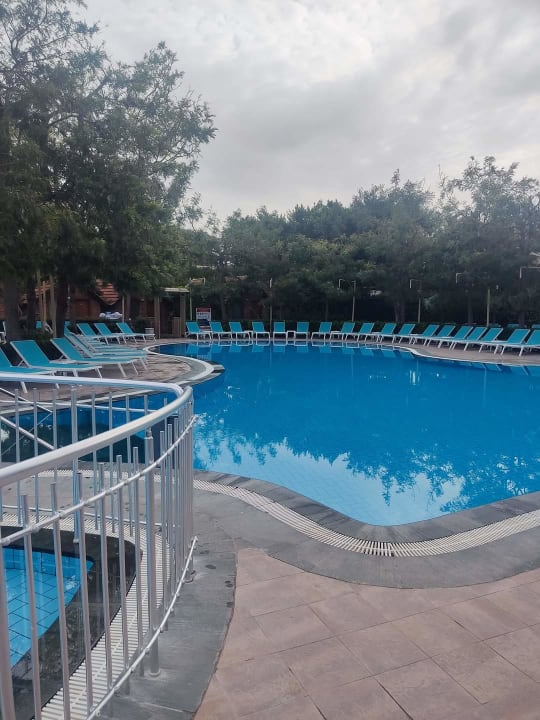 Pool Can Garden Beach