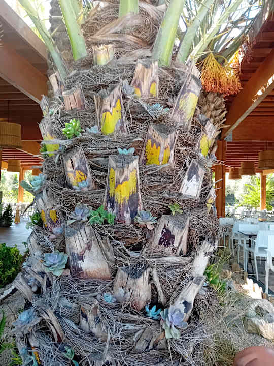 Gartenanlage Hotel Süral Resort